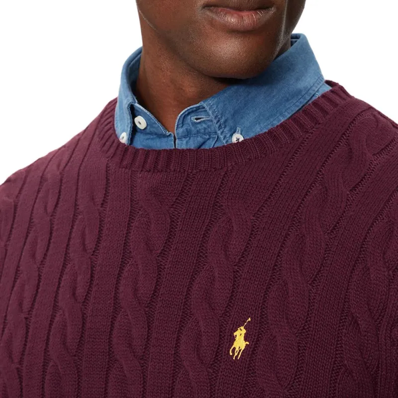 Polo Ralph Lauren Logo Embroidered Cable Knit Jumper-4