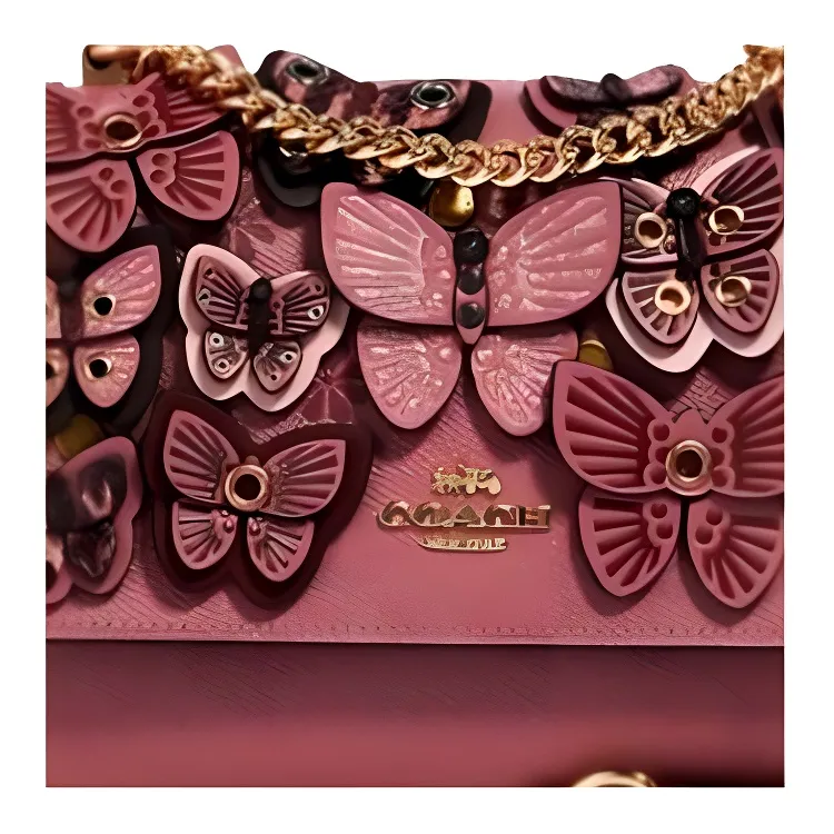 COACH Klare Crossbody Bags-2