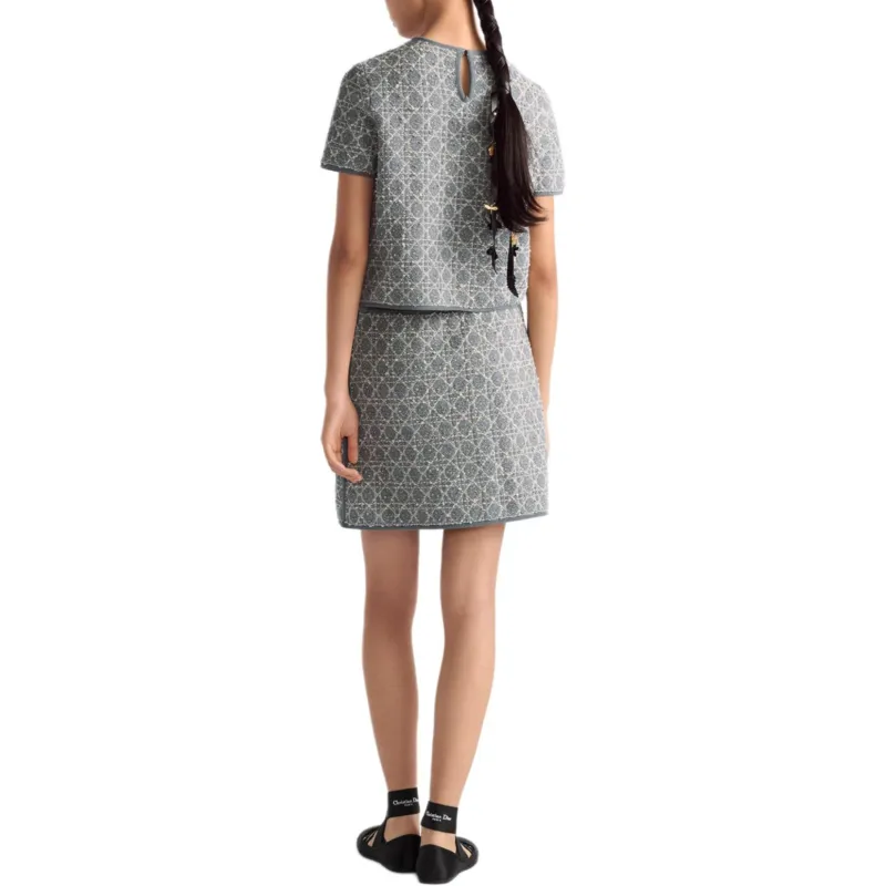 DIOR SS25 Casual Short Skirts Women's Gray-3
