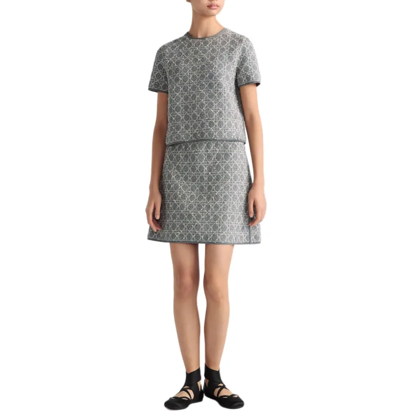 DIOR SS25 Casual Short Skirts Women's Gray-2
