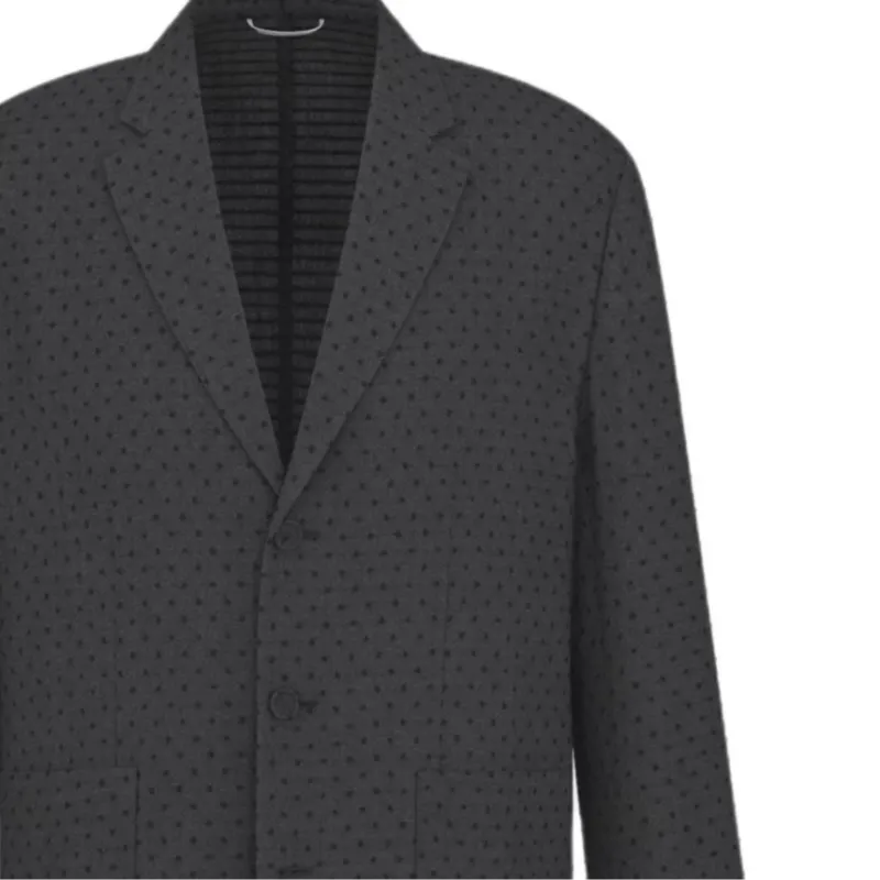 DIOR FW25 Business Suit Coat Men's Gray-2