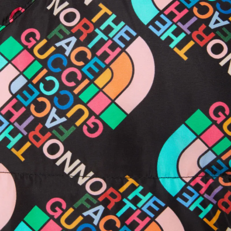 GUCCI X The North Face Down Jacket Multicolor/Black-2
