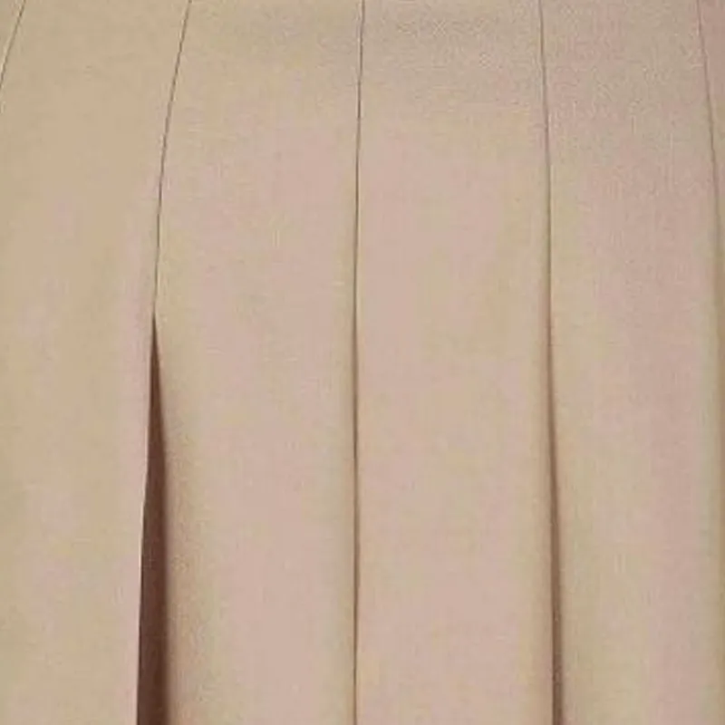 MaxMara Pleated Mini Skirt-2