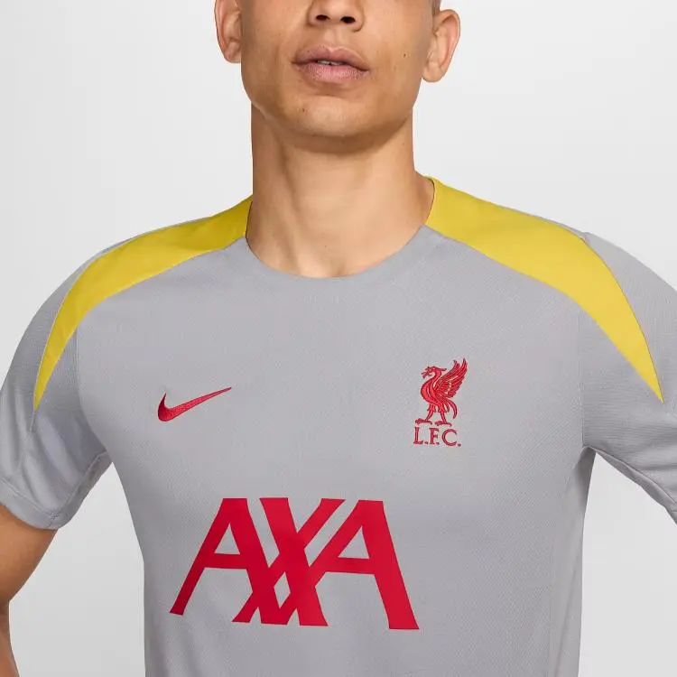 Nike LiverpoolDri Fit FW24 F.C. Strike Third Soccer Jerseys Men's Light Smoke Gray-3