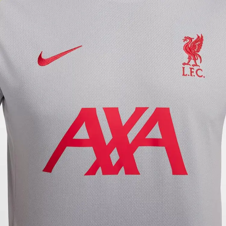 Nike LiverpoolDri Fit FW24 F.C. Strike Third Soccer Jerseys Men's Light Smoke Gray-4