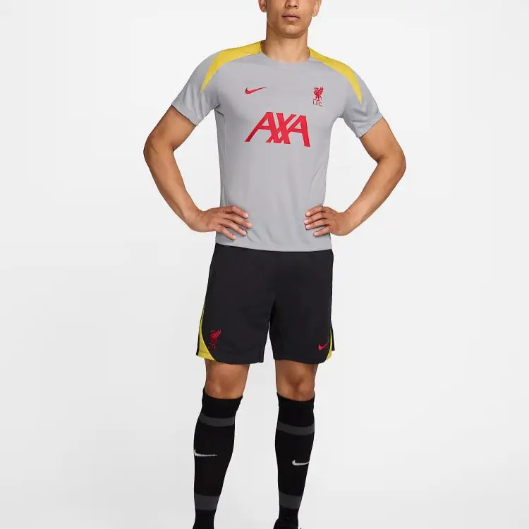 Nike LiverpoolDri Fit FW24 F.C. Strike Third Soccer Jerseys Men's Light Smoke Gray-2