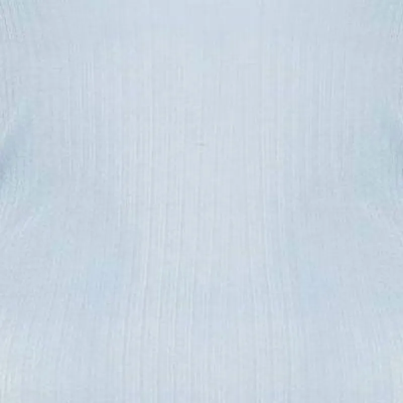 Max Mara Semi sheer Fine ribbed Top-2
