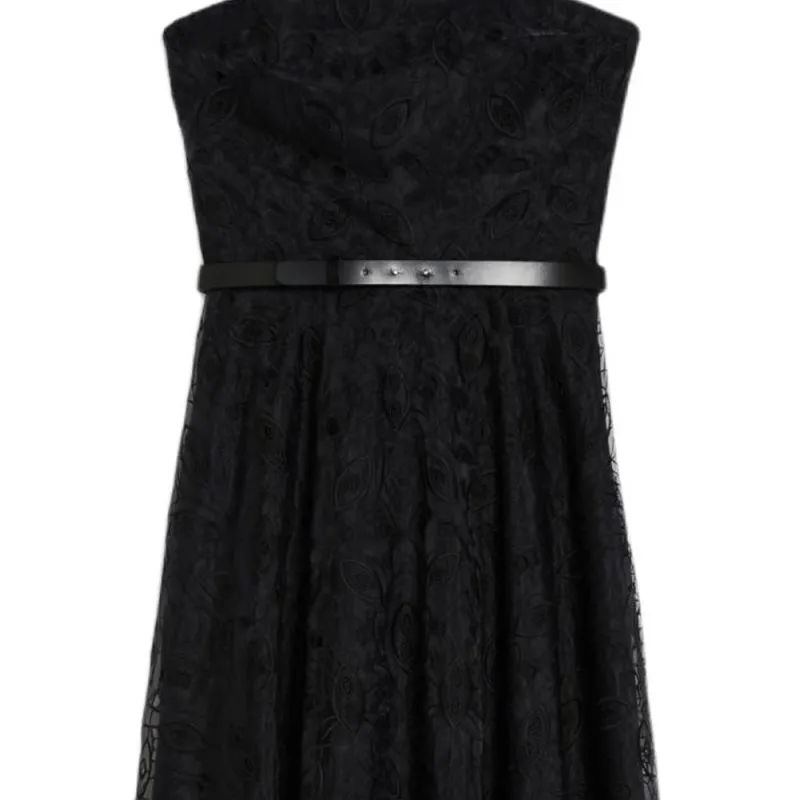 MaxMara Studio Abito Bustier In Organza Ricamata Sleeveless Dress Women's Black-4