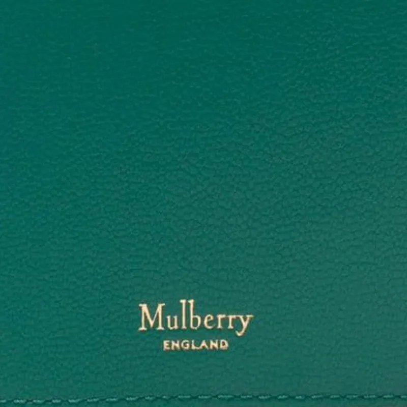 Mulberry Leather Passport Case-2