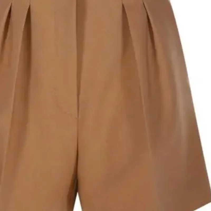 MaxMara Zic Pleat Detailed Shorts-2