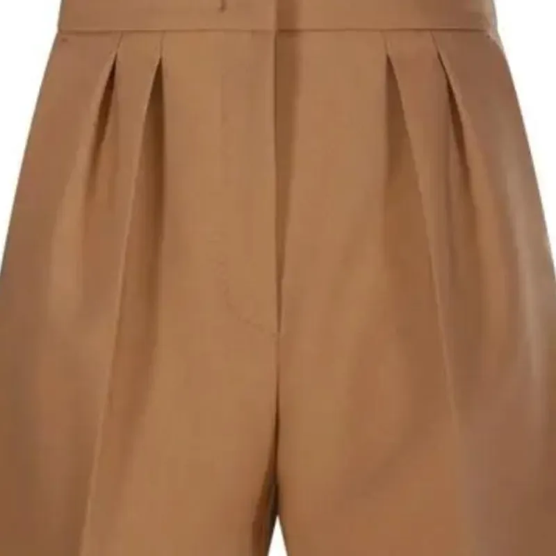 MaxMara Zic Pleat Detailed Shorts-1