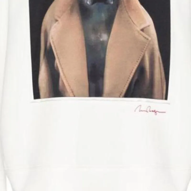 MaxMara Wegman print Sweatshirt-2