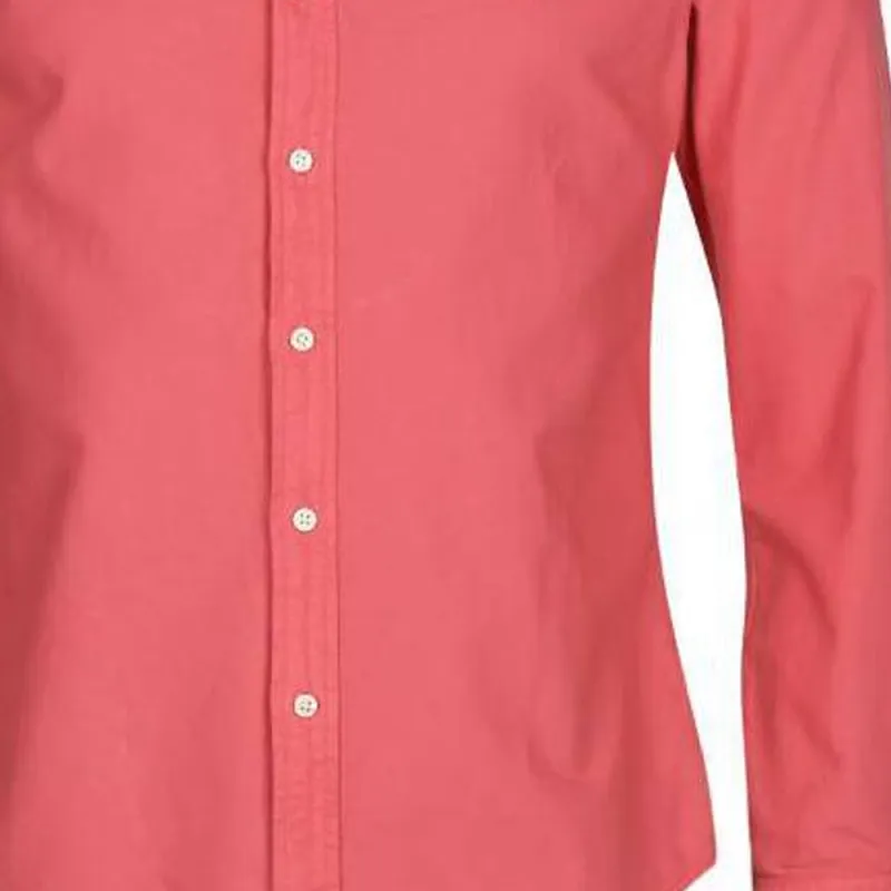 Polo Ralph Lauren Embroidered pony Cotton T shirt-4