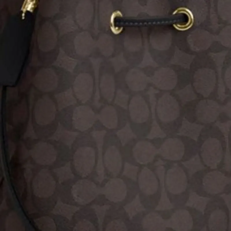 COACH Rowan Leather Handbag Trumpets Women's Coffee-2