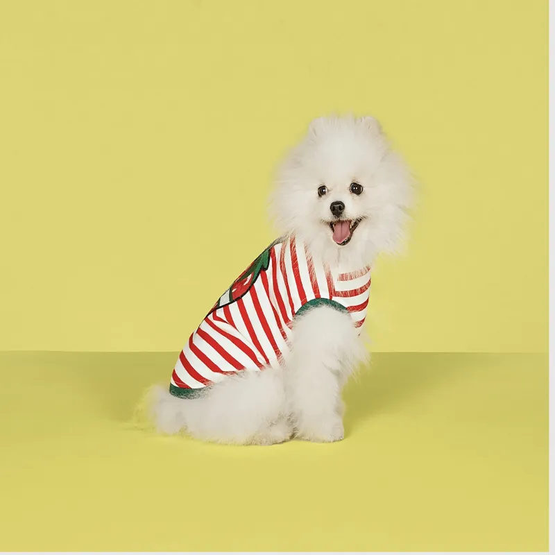 GUCCI Pet Clothing-3