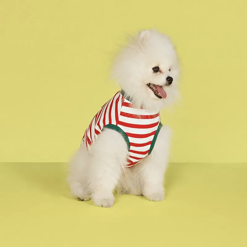 GUCCI Pet Clothing-4